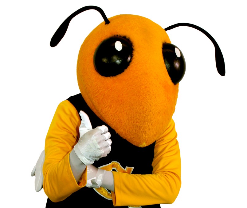 Image of Buzz