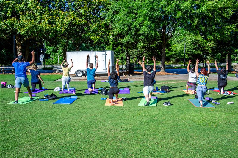 Wellness and Healthy Hives