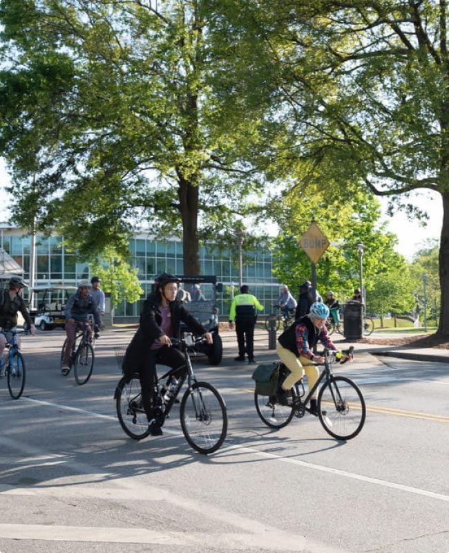 Your Role in Sustainability